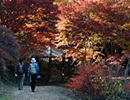 豊川市の画像3