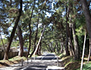 豊川市の画像4