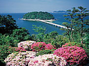 蒲郡市の画像1