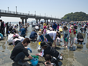 蒲郡市の画像2