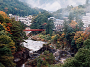 新城市の画像2