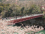 新城市の画像3