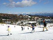豊根村の画像1